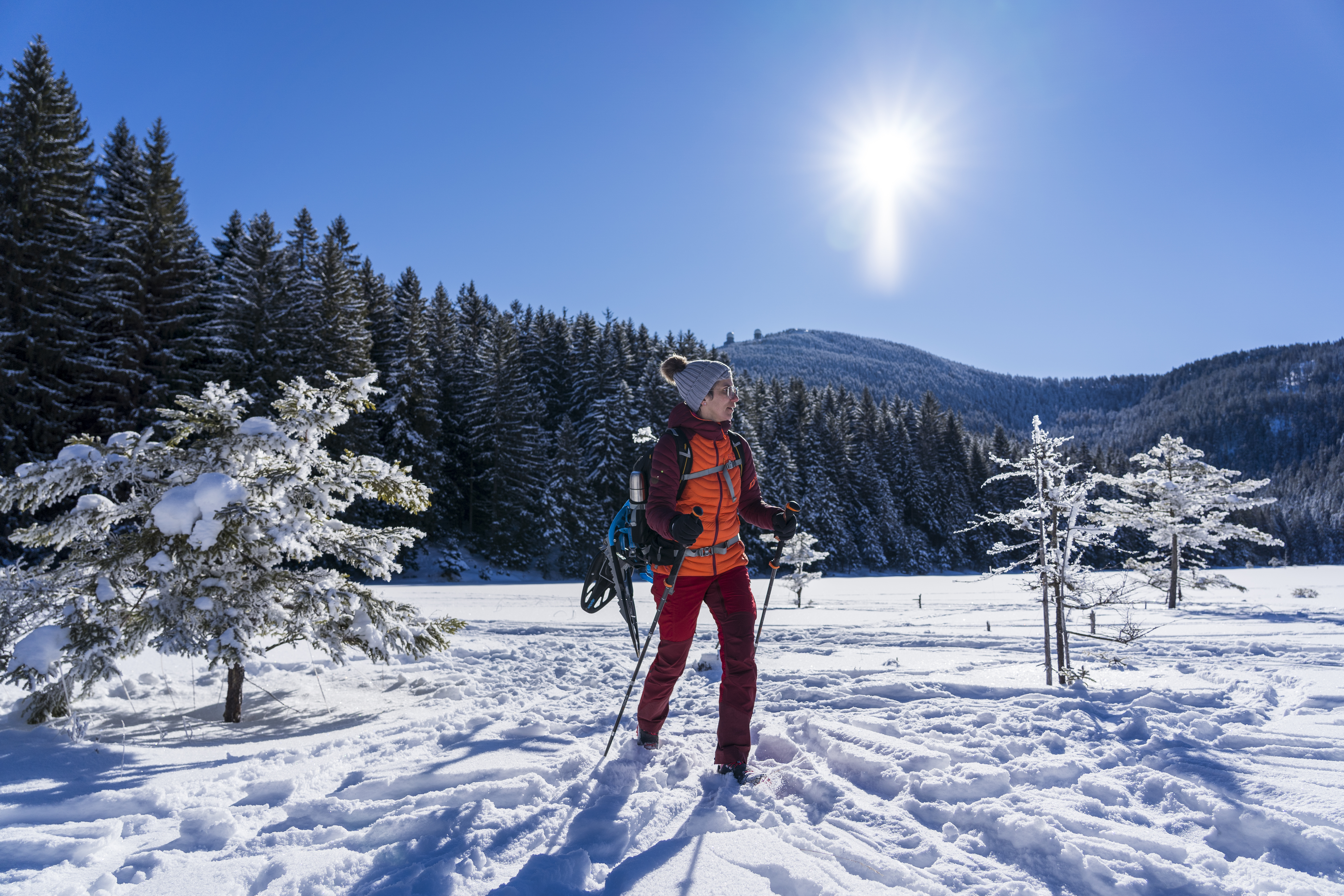 Woidlife140221mf018.jpg